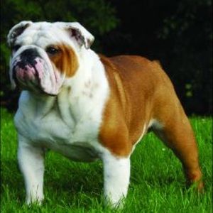 Meet your Posher, Victor